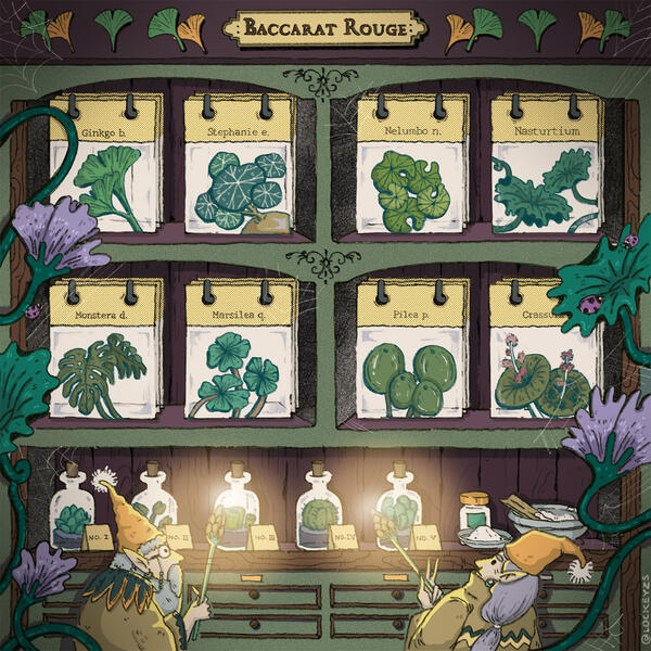 Finding the Mystery Flora, 2024