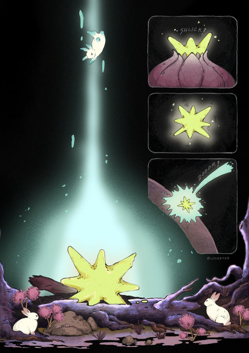 Rebirth, 2026